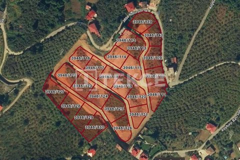 4 chambres Villa à Cao Bang, Vietnam No. 84781 22