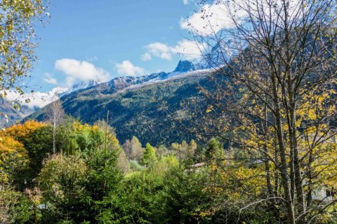 164.46m² House in Chamonix-Mont-Blanc, France No. 99470 1