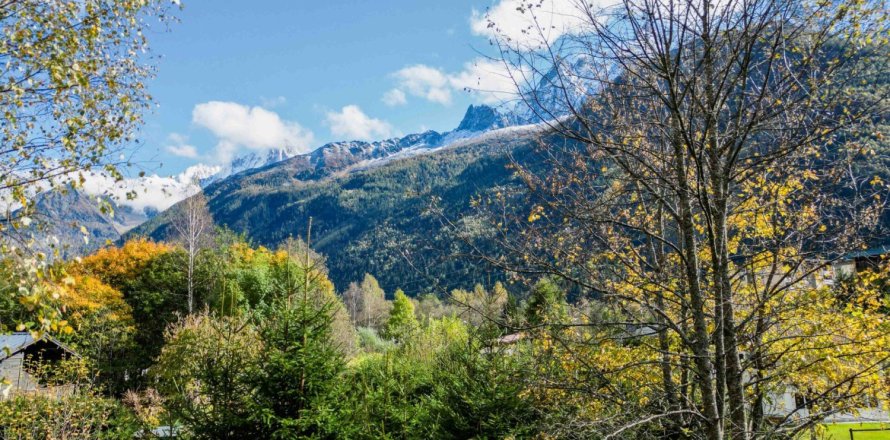 Studio House in Chamonix-Mont-Blanc, France No. 99470