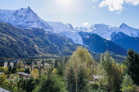 164.46m² House in Chamonix-Mont-Blanc, France No. 99470 5