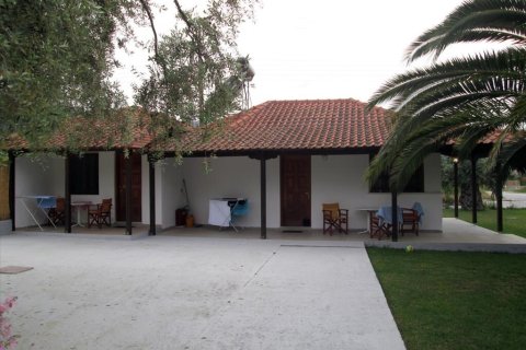 10 rooms Hotel in Thasos, Greece No. 109129 5