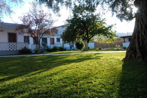 10 rooms Hotel in Thasos, Greece No. 109129 22