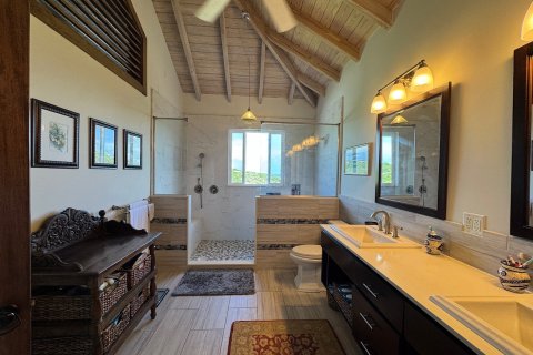 3 bedrooms Villa in Willikies, Antigua and Barbuda No. 77094 18