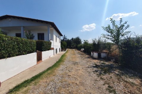 5 bedrooms House in Thessaloniki, Greece No. 107396 23