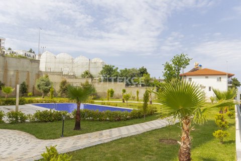 2 bedrooms Apartment in Chau Lang, Vietnam No. 10970 29