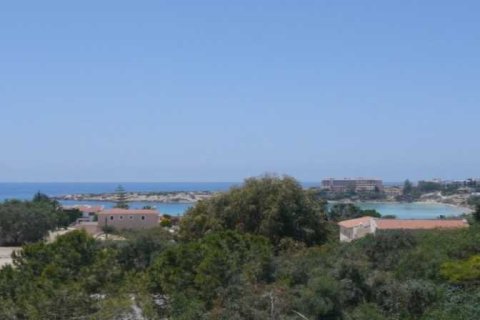 7 bedrooms Villa in Pegeia, Cyprus No. 84398 3