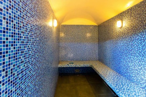 Вилла с 18 спальнями в Пхукет, Таиланд №86324 13