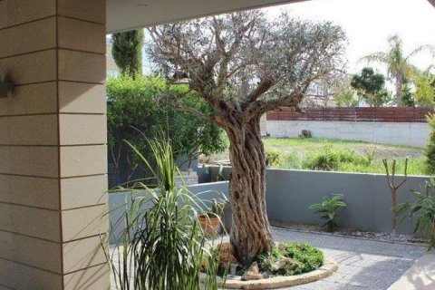 4 dormitorios House en Konia, Cyprus No. 37351 6