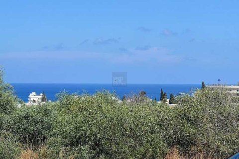 4 bedrooms House in Protaras, Cyprus No. 63469 15