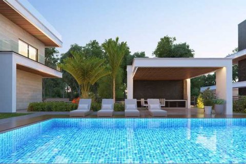 Дом с 4 спальнями в Агиос Тихонас, Кипр №79895 15