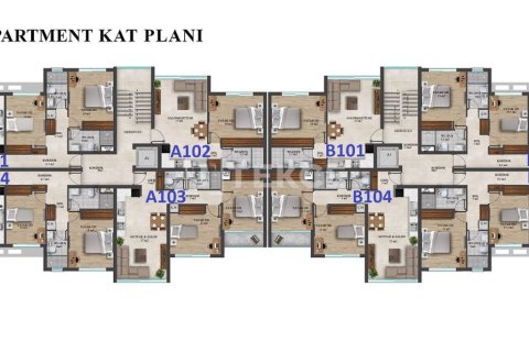 2 bedrooms Penthouse in Phu Ngai, Vietnam No. 21747 23