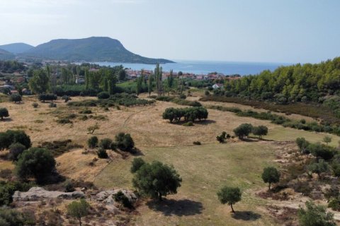 4050m² Land in Chalkidiki, Greece No. 109361 2