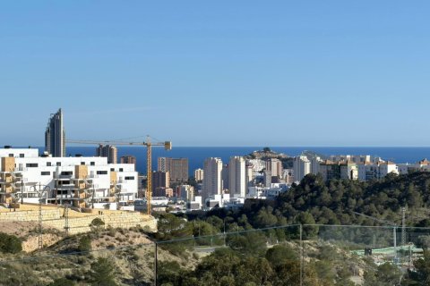 2 bedrooms Apartment in Finestrat, Spain No. 124791