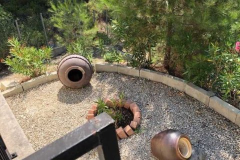 4 bedrooms House in Pano Platres, Cyprus No. 31782 11