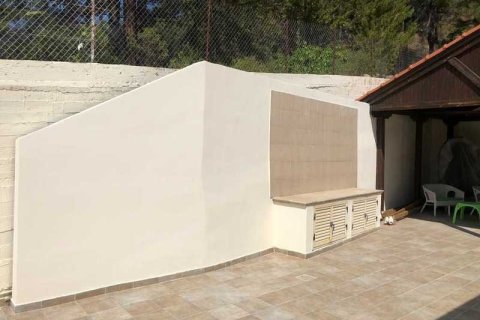 4 bedrooms House in Pano Platres, Cyprus No. 31782 14