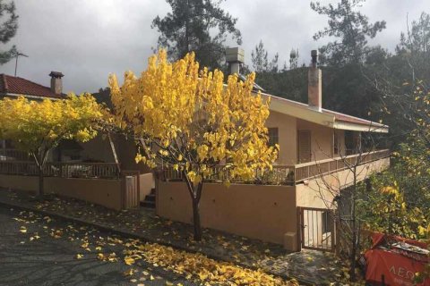 Дом с 3 спальнями в Като Платрес, Кипр №29612 9