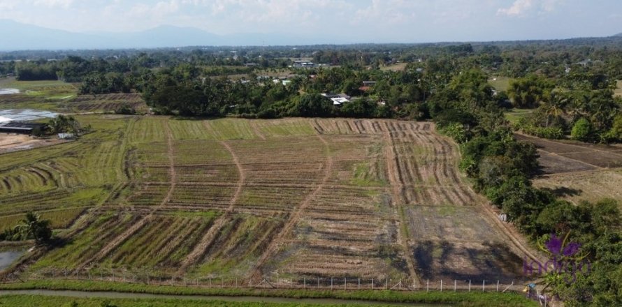Land en Chiang Mai, Thailand No. 97678