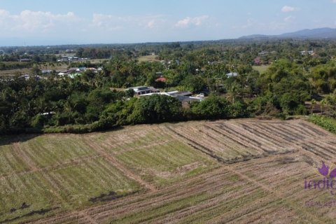 Land en Chiang Mai, Thailand No. 97678 7