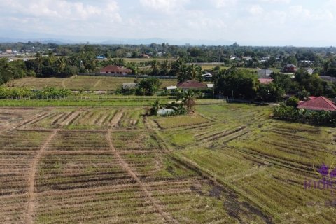Land en Chiang Mai, Thailand No. 97678 5