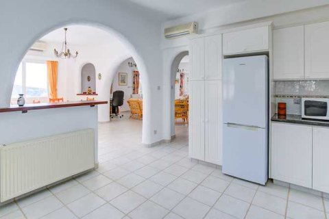 3 chambres House à Tala, Cyprus No. 69693 11