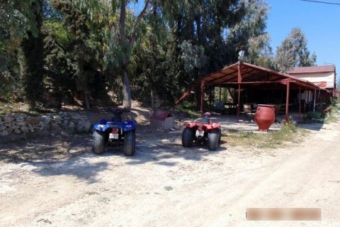 1 room Business in Heraklion, Greece No. 57246 6