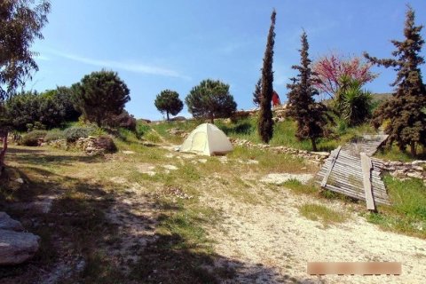 1 room Business in Heraklion, Greece No. 57246 3