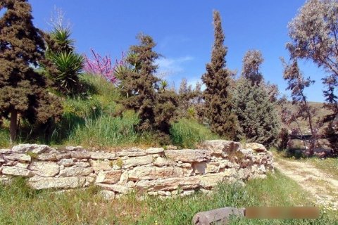 1 room Business in Heraklion, Greece No. 57246 7