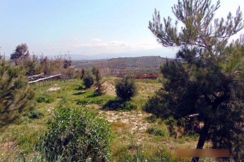 1 room Business in Heraklion, Greece No. 57246 2