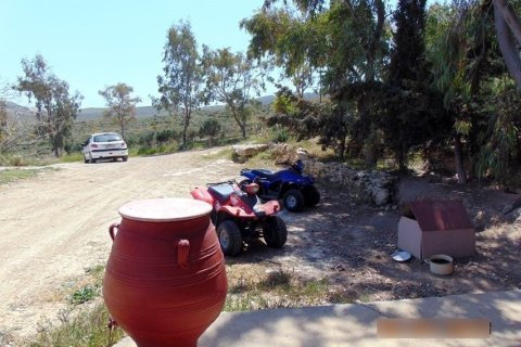 1 room Business in Heraklion, Greece No. 57246 8