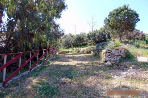 1 room Business in Heraklion, Greece No. 57246 4