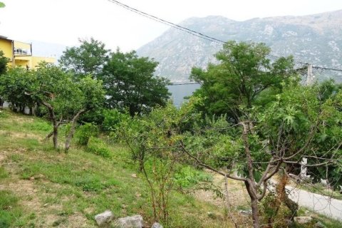 929m² Land in Kotor, Montenegro No. 66803 4