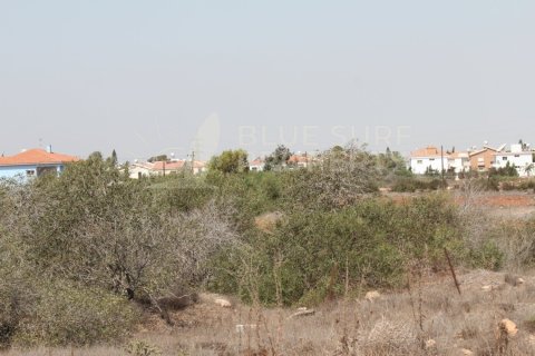 7700m² Land in Ayia Napa, Cyprus No. 36578 4