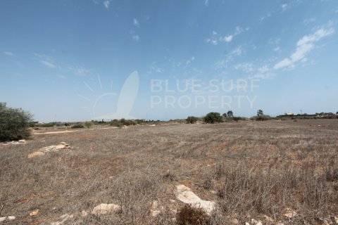 7700m² Land in Ayia Napa, Cyprus No. 36578 1