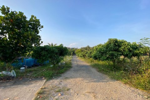 4 bedrooms House in Chiang Mai, Thailand No. 1496 15