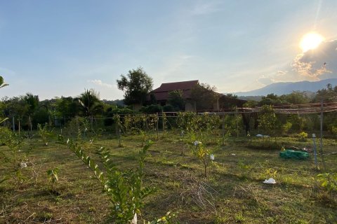 4 bedrooms House in Chiang Mai, Thailand No. 1496 9