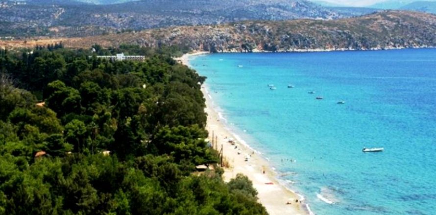 25000m² Land in Argolis, Greece No. 56792