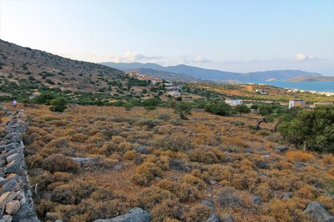 8200m² Land en Lasithi, Greece No. 60346 5