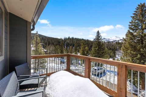 3 bedrooms Townhouse in Breckenridge, USA No. 104621 27