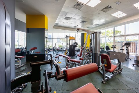 3 bedrooms Apartment in Becho American City Phase1, Vietnam No. 93053 29