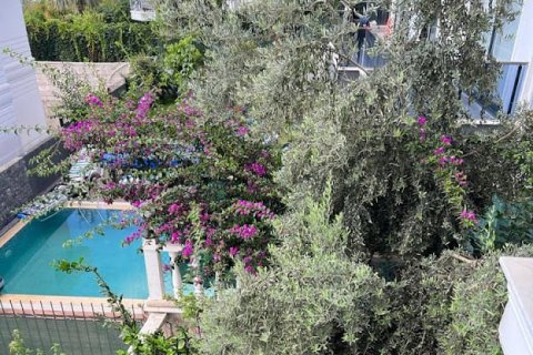 4 chambres Villa à Chau Lang, Vietnam No. 14371 21