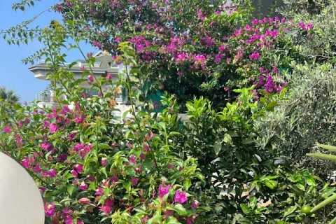 4 chambres Villa à Chau Lang, Vietnam No. 14371 10