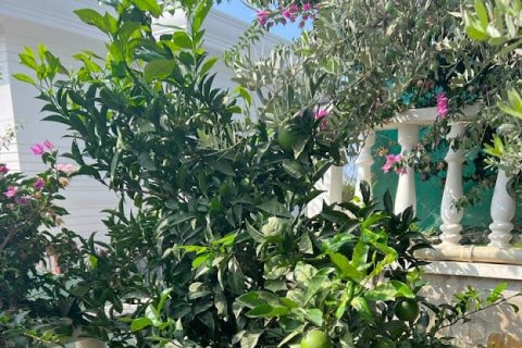 4 chambres Villa à Chau Lang, Vietnam No. 14371 28