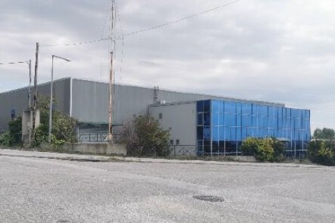 1744m² Commercial property in Chrysoupoli, Greece No. 109057 1