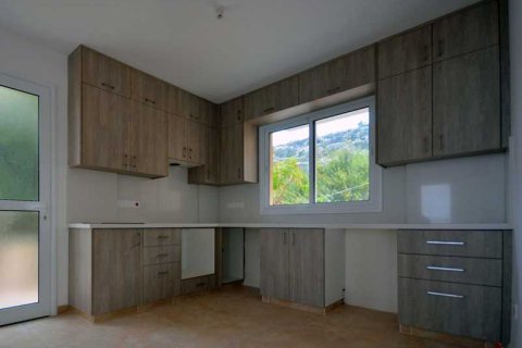 Дом с 6 спальнями в Пейя, Кипр №75990 12