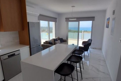 3 chambres Villa à Kissonerga, Cyprus No. 72469 6