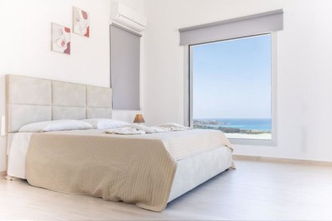 3 chambres Villa à Kissonerga, Cyprus No. 72469 14