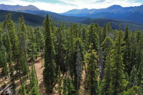 Land in Breckenridge, USA No. 83407 3