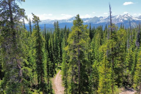 Land in Breckenridge, USA No. 83407 2
