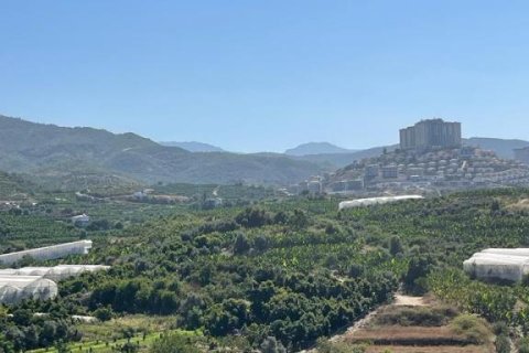 Квартира с 5 комнатами в Bo Ha, Вьетнам №21722 19