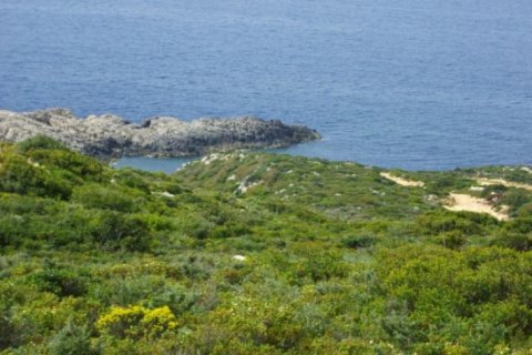 Land en Zakynthos, Greece No. 28138 5